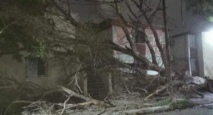 Ciudad Obregón: Fuertes vientos deja un edificio caído y más de 12 horas sin luz en diversas colonias 