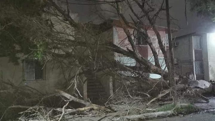Ciudad Obregón: Fuertes vientos deja un edificio caído y más de 12 horas sin luz en diversas colonias 