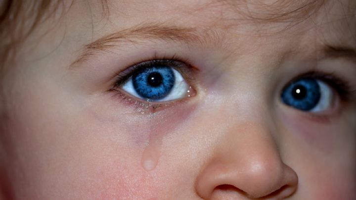 Hallan casi sin vida a un niño de 5 años en el maletero de un auto; sus padres abusaban de él