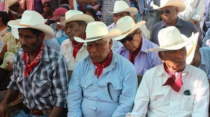 Tribu yaqui: La constante lucha contra el despojo de tierras y la violación a sus derechos