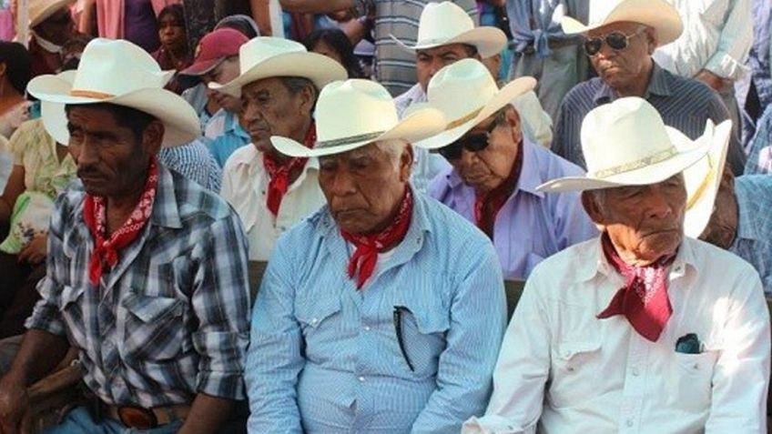 Tribu yaqui: La constante lucha contra el despojo de tierras y la violación a sus derechos