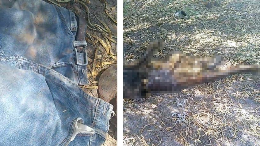 Hallan cuerpo putrefacto en monte de Sonora; se trataría de adulto mayor desaparecido