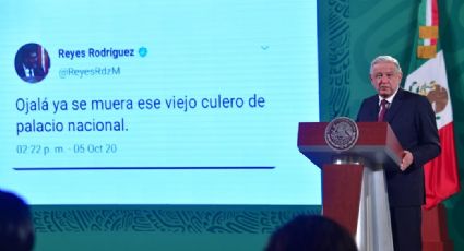 ¿Lo hackearon? Reyes Rodríguez, presidente del Tepjf, niega llamar "viejo cul..." a AMLO