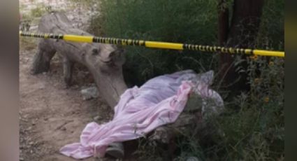 Terrible final: Hombre fallece mientras se alcoholizaba con sus amigos debajo de un árbol