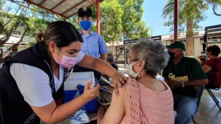 Covid-19 en Sonora: Salud en alerta por alza en casos de contagios y muertes