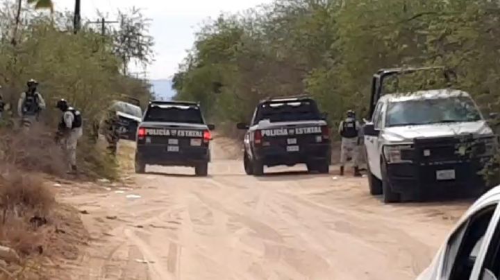 ¡Brutal! Muere niño de 12 años tras ser atacado por un animal salvaje; intentó comérselo