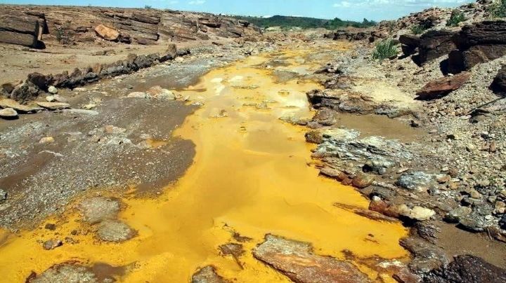 Reportaje: A 7 años del Río Sonora, la justicia no llega y la pesadilla sigue ahí