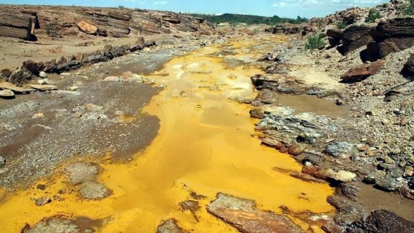 Reportaje: A 7 años del Río Sonora, la justicia no llega y la pesadilla sigue ahí