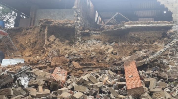 CDMX: Al menos cuatro perros mueren sepultados en un refugio de Xochimilco