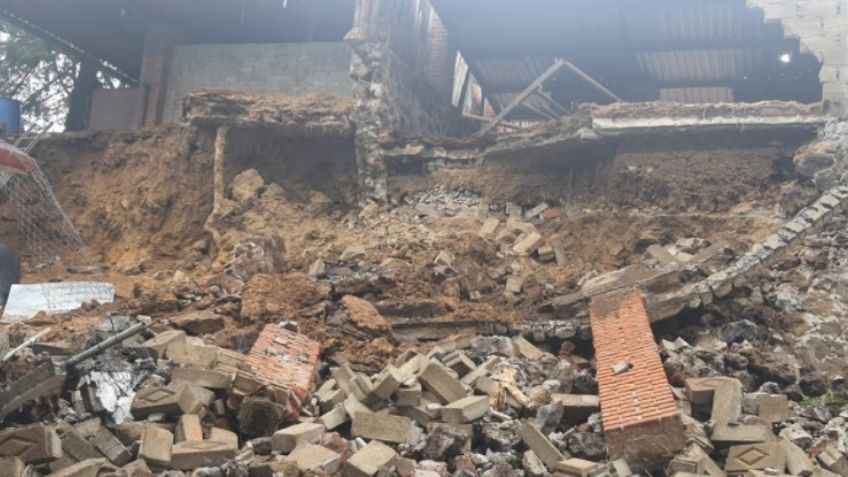 CDMX: Al menos cuatro perros mueren sepultados en un refugio de Xochimilco