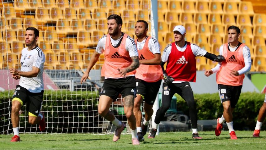 ¡Duelo de fieras por la cima! Los Tigres reciben al León en juego de la Jornada 8
