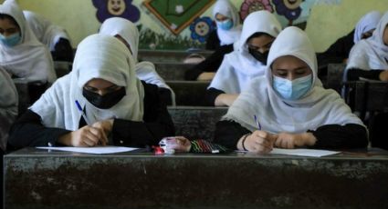 Ministro talibán declara que las mujeres estudiarán bajo estas polémicas condiciones