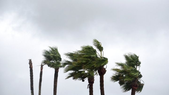 ¡Alerta! 'Nicholas' evoluciona a huracán; provocará chubascos en Nuevo León y Tamaulipas