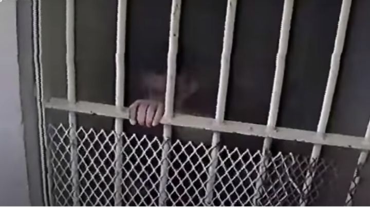 VIDEO: Así escapó el 'Calamardo', presunto líder del Cártel del Golfo, de la Policía; lo ultimaron