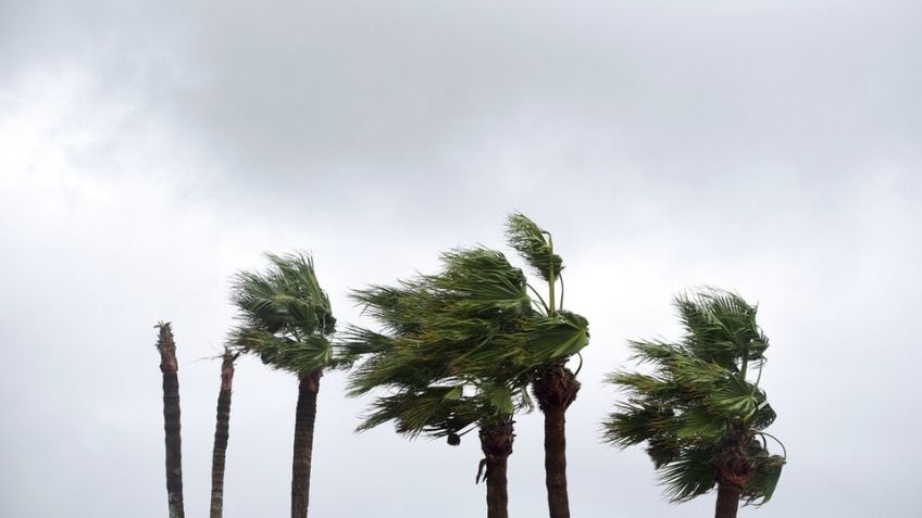 ¡Alerta! 'Nicholas' evoluciona a huracán; provocará chubascos en Nuevo León y Tamaulipas