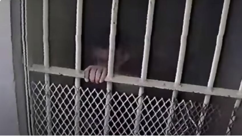 VIDEO: Así escapó el 'Calamardo', presunto líder del Cártel del Golfo, de la Policía; lo ultimaron