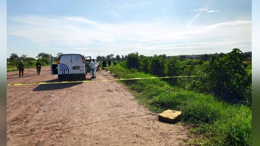 Movilización en Jalisco: Tres cuerpos son abandonados sin vida en un terreno enmontado