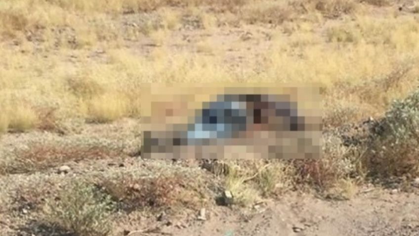 Pitiquito: Encuentran cuerpo con impactos de bala a un costado de carretera al Arenoso