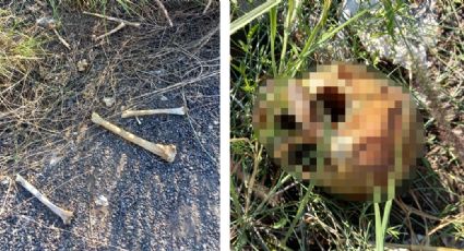 Localizan huesos humanos a orillas de carretera de Sonora; podría tratarse de una mujer