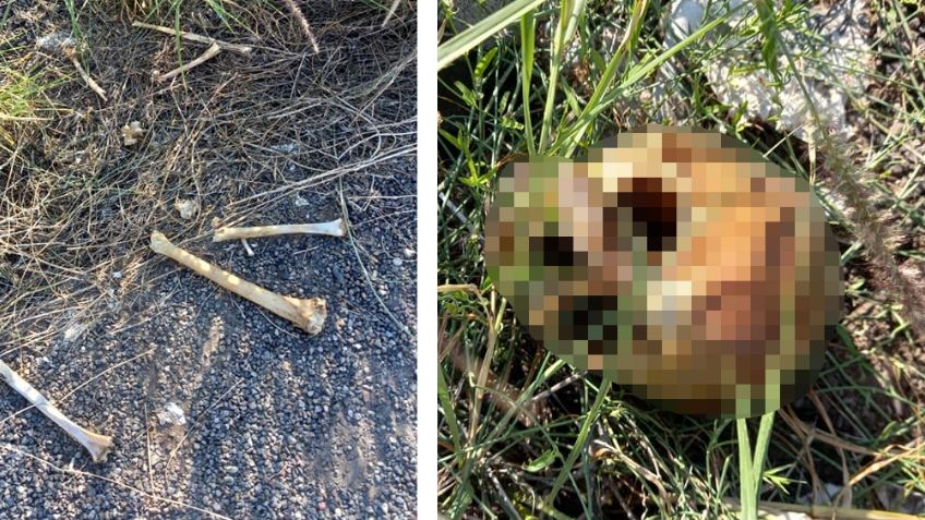 Localizan huesos humanos a orillas de carretera de Sonora; podría tratarse de una mujer