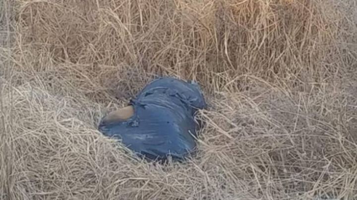 Hallan un cuerpo 'embolsado' a la orilla de un canal; perros se peleaban por él