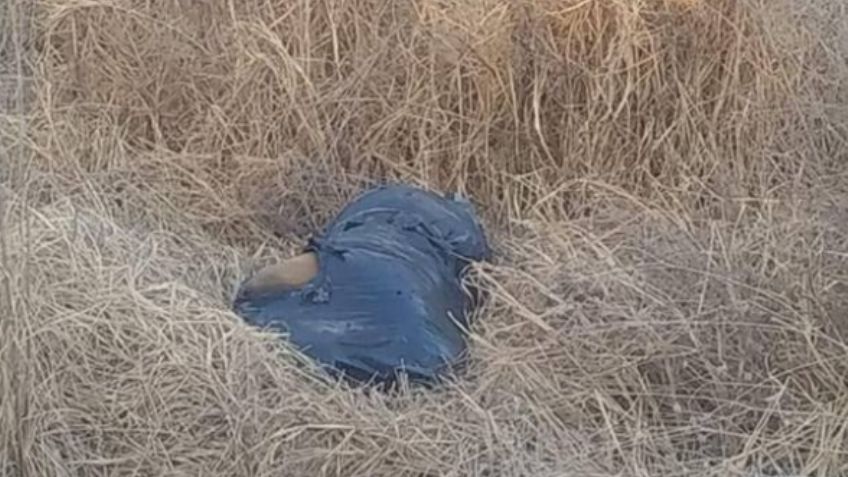 Hallan un cuerpo 'embolsado' a la orilla de un canal; perros se peleaban por él