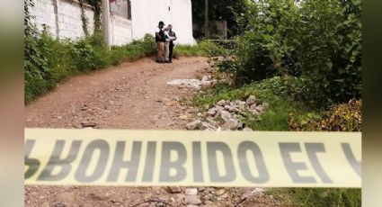 Horror en Zacatecas: Localizan a dos hombres violentados en panteón; fueron colgados de un árbol