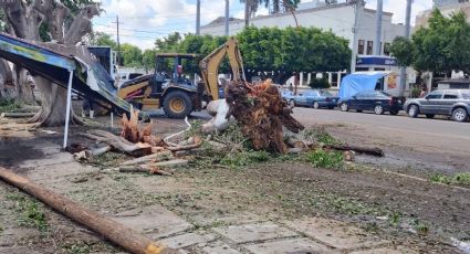 Cajeme: Continúan las afectaciones por la fuerte lluvia en Ciudad Obregón