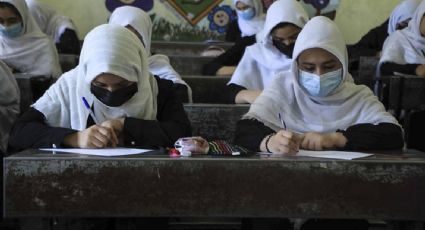 "Quiero ir a la escuela": Una niña de Afganistán graba conmovedor VIDEO para exigir sus derechos