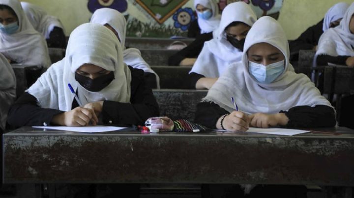 "Quiero ir a la escuela": Una niña de Afganistán graba conmovedor VIDEO para exigir sus derechos