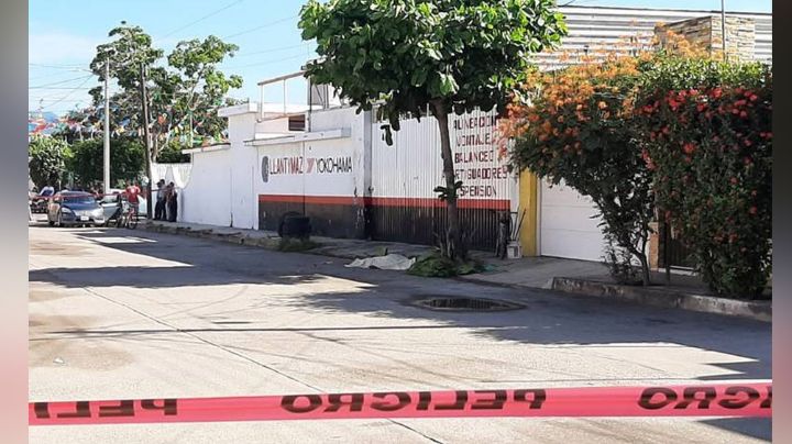 Tragedia en Sinaloa: 'El Morro', un conocido jardinero de Escuinapa, muere tras caerse de un árbol