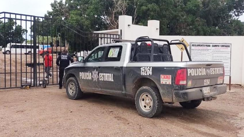 Golpe al narcomenudeo: Incautan más de mil dosis de droga en el municipio de Hermosillo