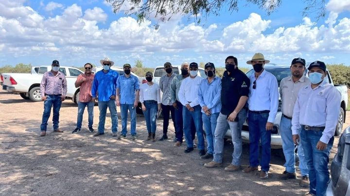 Cimmyt lleva nueva plataforma de Investigación de trigo llega a Huatabampo, Sonora