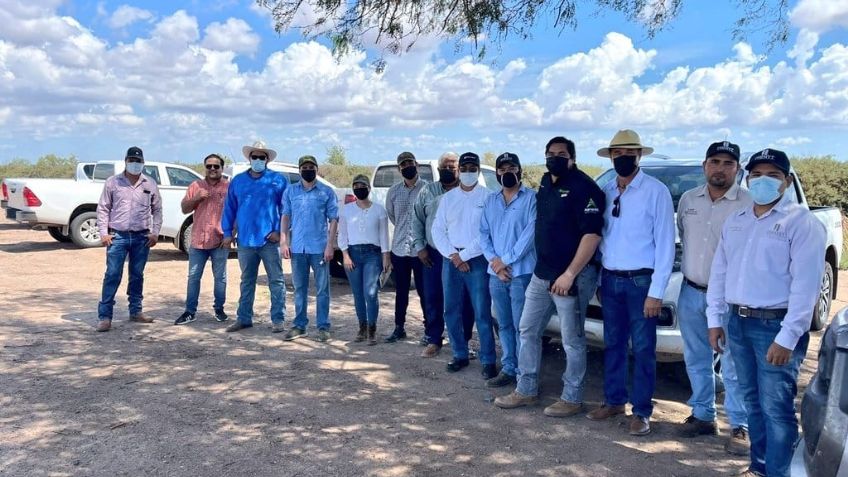 Cimmyt lleva nueva plataforma de Investigación de trigo llega a Huatabampo, Sonora