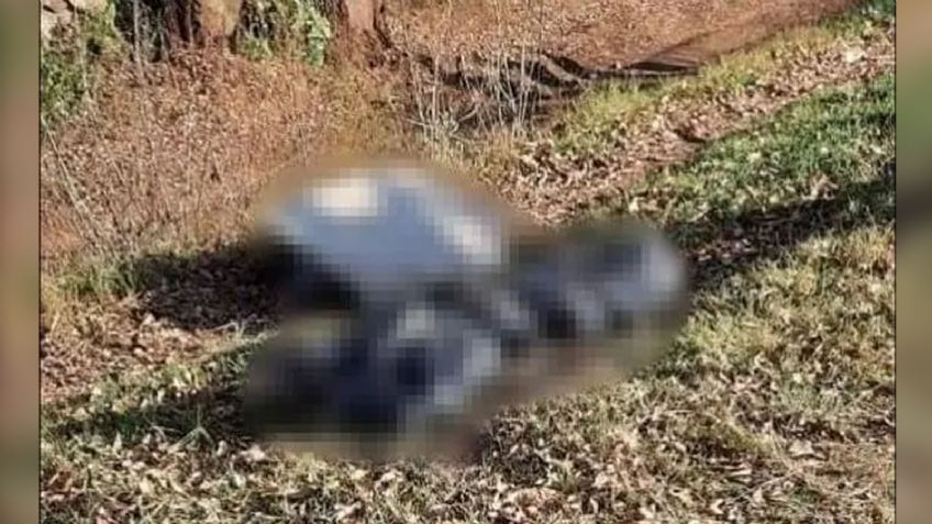 A la orilla de la carretera, abandona dos cuerpos; estaban descuartizados