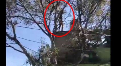 VIDEO: Sin prendas, cae del techo y muerte al instante; lo acusaban de matar a un policía