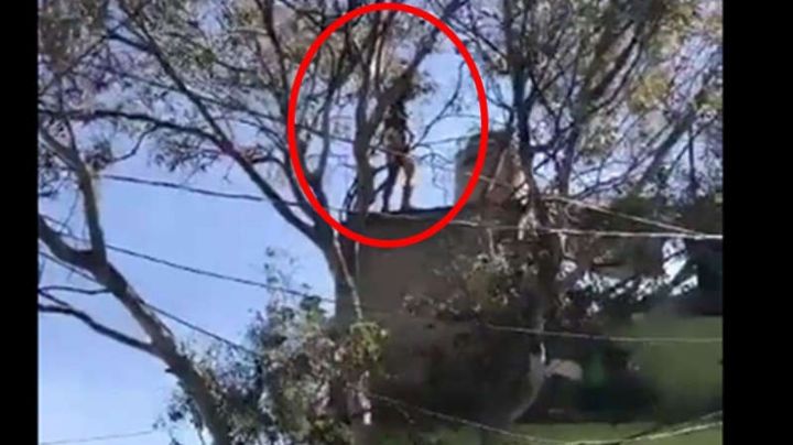 VIDEO: Sin prendas, cae del techo y muerte al instante; lo acusaban de matar a un policía