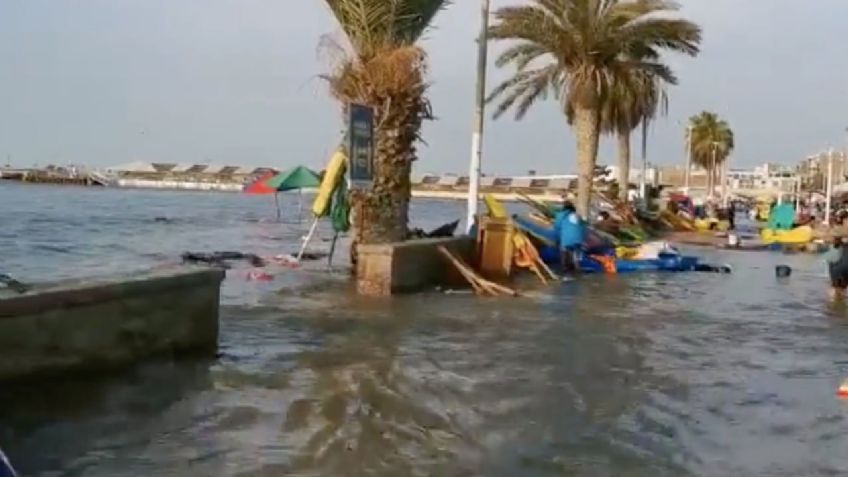 Erupción y tsunami en Tonga deja víctimas mortales: 2 mueren ahogadas por fuerte oleaje