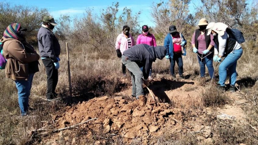 Integrante de Guerreras Buscadoras encuentra el cuerpo de su hijo desaparecido en Cajeme