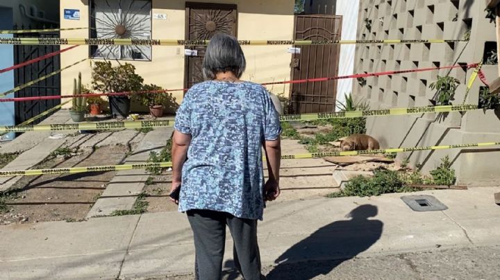 Mascotas de Lourdes Maldonado son rescatadas del domicilio; todavía esperaban a la periodista