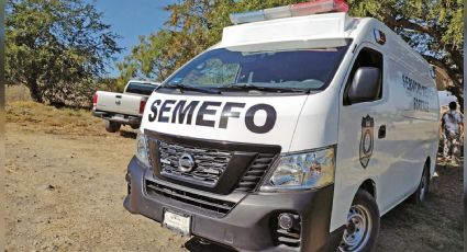 A la orilla de un terreno de cultivo, autoridades localizan un cadáver en Morelos