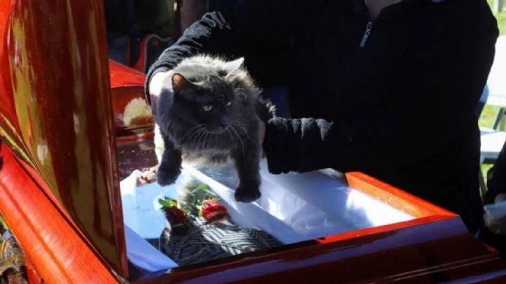 Entre familiares, amigos y mascotas, dan el último adiós a la periodista Lourdes Maldonado