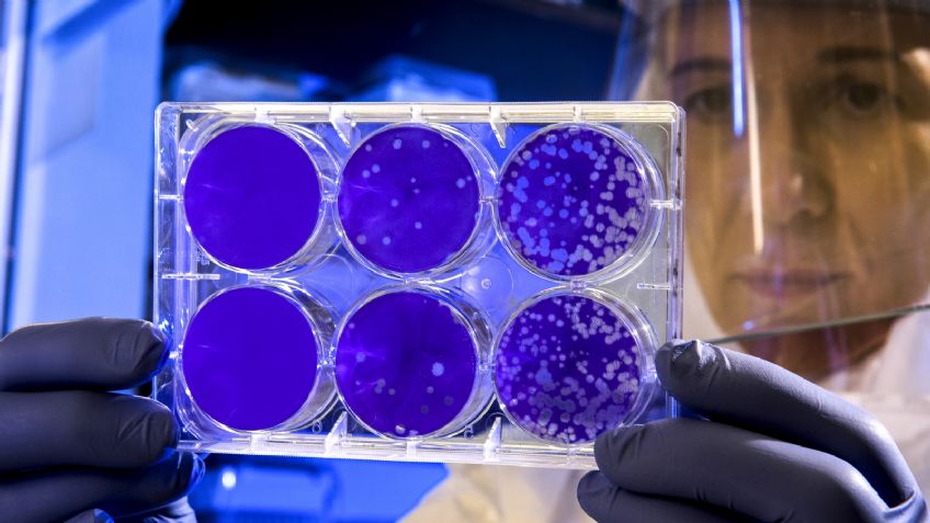 Alerta mundial: Descubren nueva variante de Covid-19 en Francia; presenta 46 mutaciones