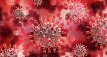 Científicos explican que no es raro que el Covid-19 y la gripe habiten en un mismo paciente