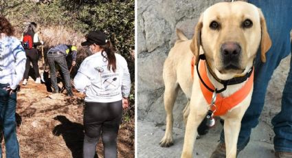 Con apoyo de perro entrenado, encuentran cuatro cuerpos en fosas clandestinas en Nogales