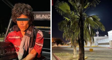 Sujeto queda detenido por incendiar palmeras de una tienda departamental en Hermosillo
