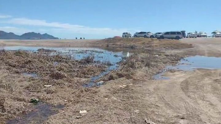 En plena temporada alta de bodas, San Carlos recibe a los turistas con las 'aguas negras' abiertas