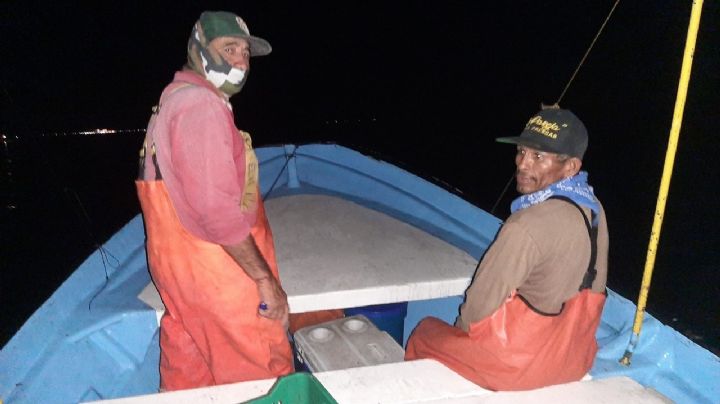 Ribereños tienen 'leve' repunte del 22 porciento en capturas de camarón en Guaymas