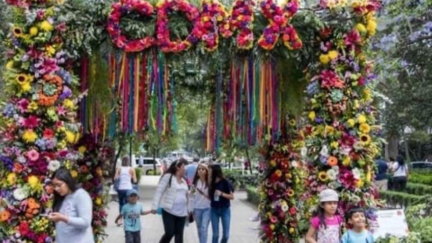 Saca la cámara: Festival de las flores y jardines de la CDMX ya inició y aquí se encuentra