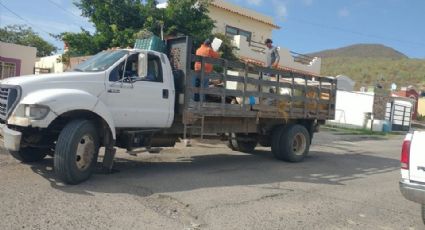 Seis toneladas de artículos se recolectaron en jornada de descacharre en tres sectores del Puerto